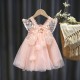 Summer pleated lace dress for children girls clothes butterfly stitching solid color mesh dress party princess dress
