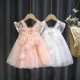Summer pleated lace dress for children girls clothes butterfly stitching solid color mesh dress party princess dress