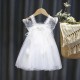 Summer pleated lace dress for children girls clothes butterfly stitching solid color mesh dress party princess dress