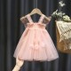 Summer pleated lace dress for children girls clothes butterfly stitching solid color mesh dress party princess dress